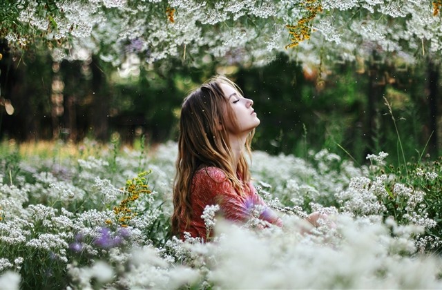 二月二龙抬头祝福语大全简短