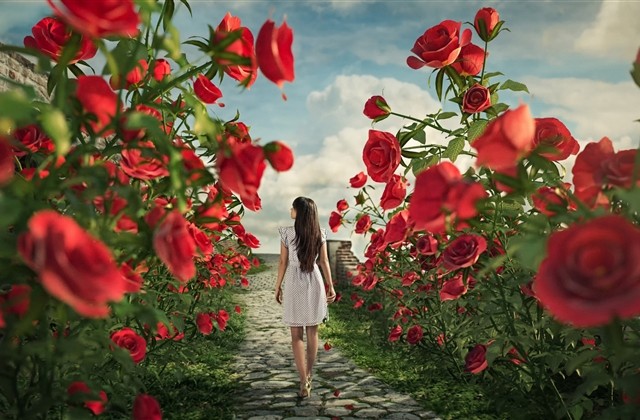 吃饱了减肥的搞笑句子