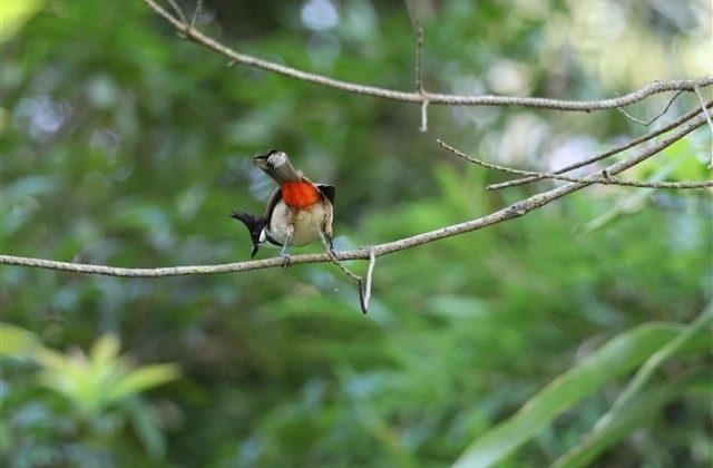 给班主任的祝福语