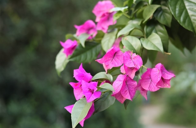 情侣贺卡情话大全