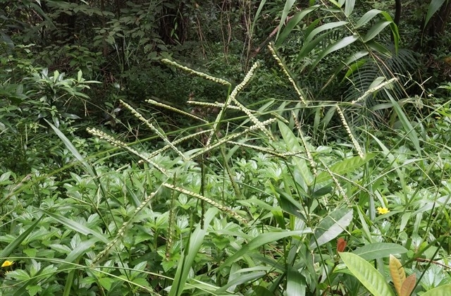 堂妹结婚祝福语说说