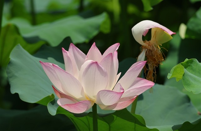 有水平的说说,能让人狂赞(19句)