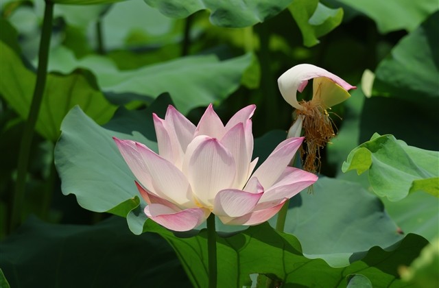 快手签名女生专用霸气可爱大全 女生快手个性签名超涨粉的