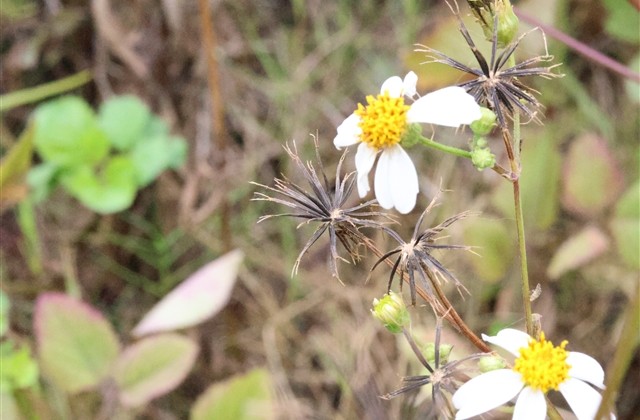 美到窒息的英文网名 英文网名简单气质稀有