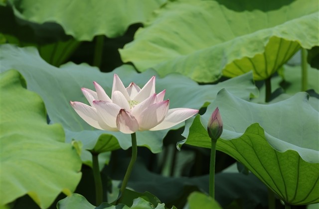 被夸夸的万能回复话术 回复别人夸奖的话幽默