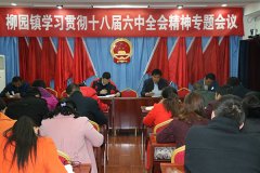 柳园镇组织召开了学习贯彻十八届六中全会 精神专题会议